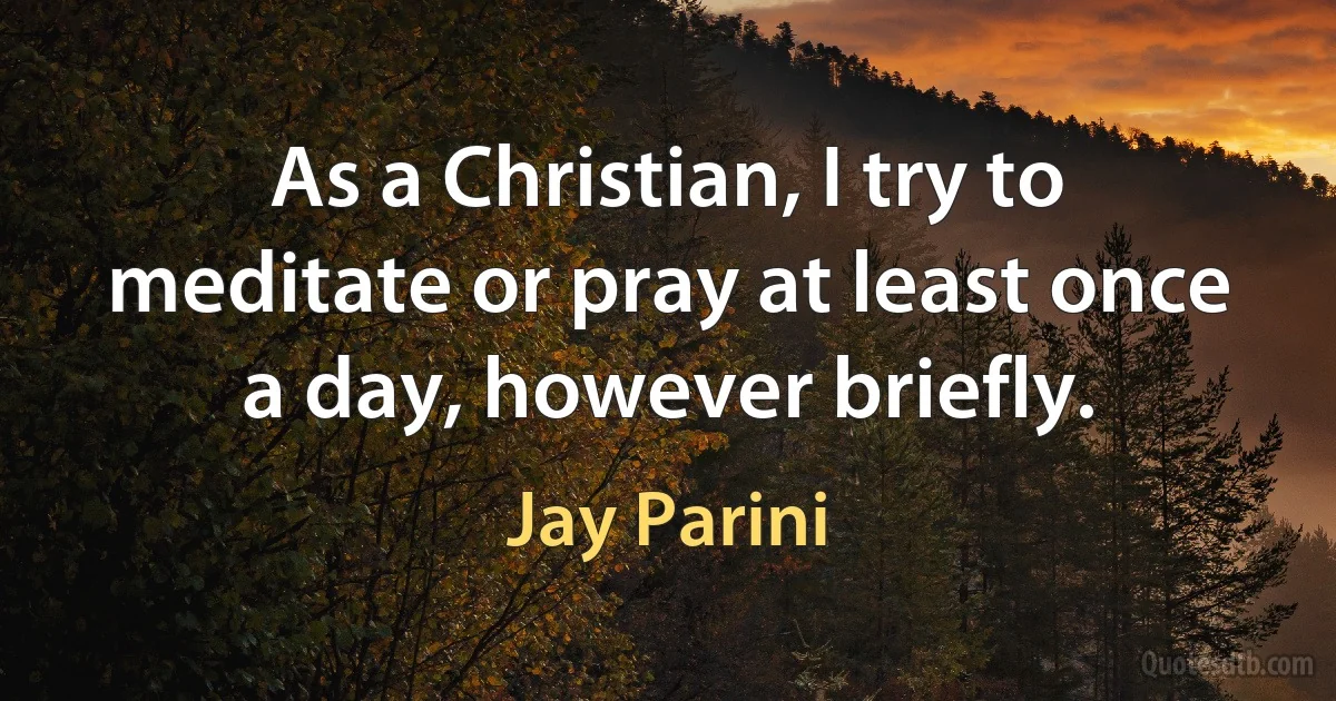 As a Christian, I try to meditate or pray at least once a day, however briefly. (Jay Parini)