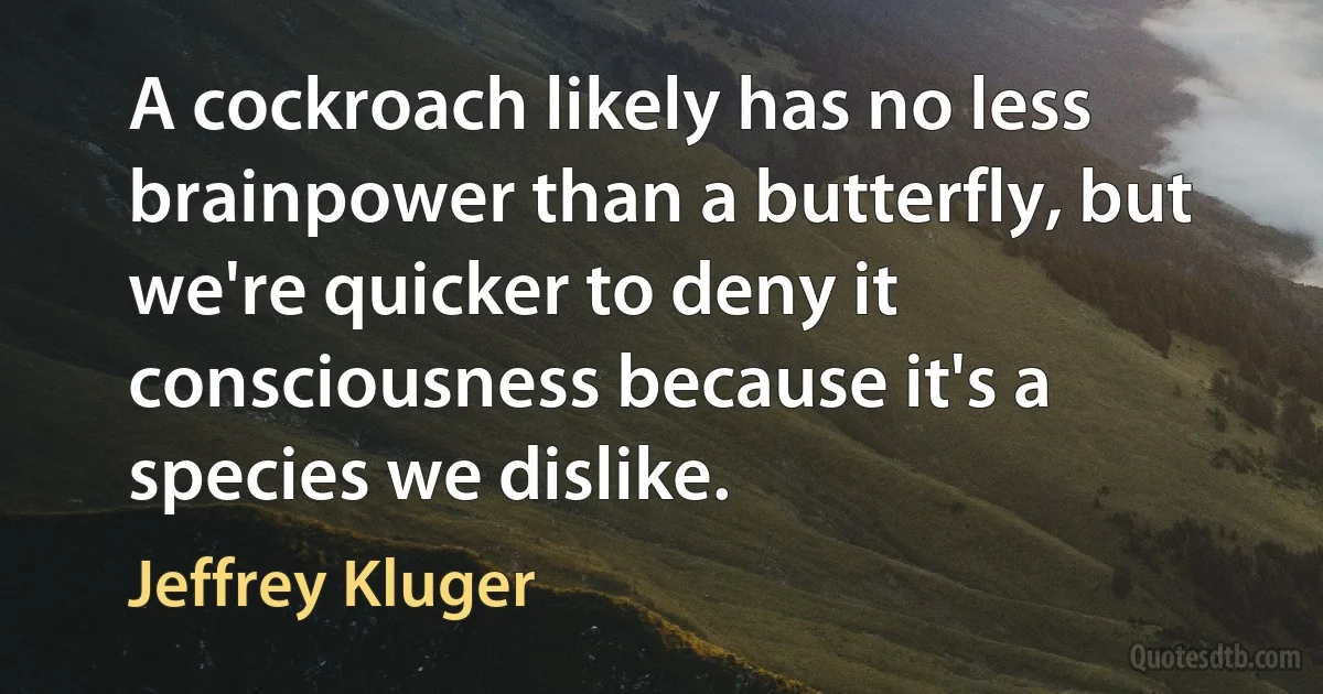 A cockroach likely has no less brainpower than a butterfly, but we're quicker to deny it consciousness because it's a species we dislike. (Jeffrey Kluger)