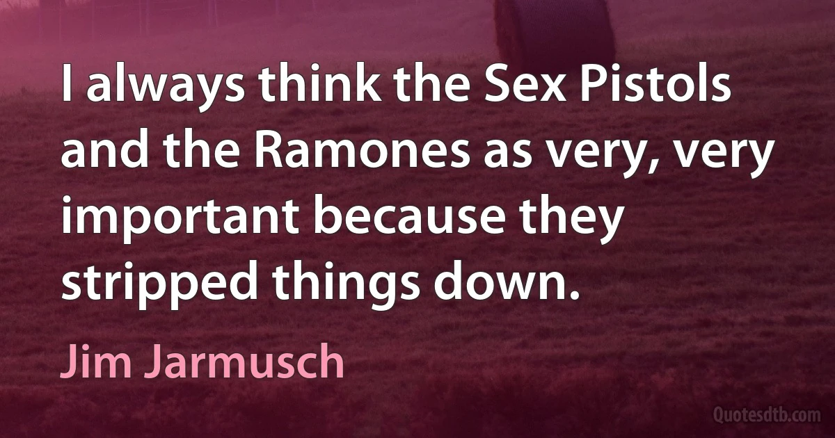 I always think the Sex Pistols and the Ramones as very, very important because they stripped things down. (Jim Jarmusch)