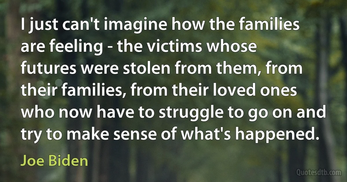 I just can't imagine how the families are feeling - the victims whose futures were stolen from them, from their families, from their loved ones who now have to struggle to go on and try to make sense of what's happened. (Joe Biden)