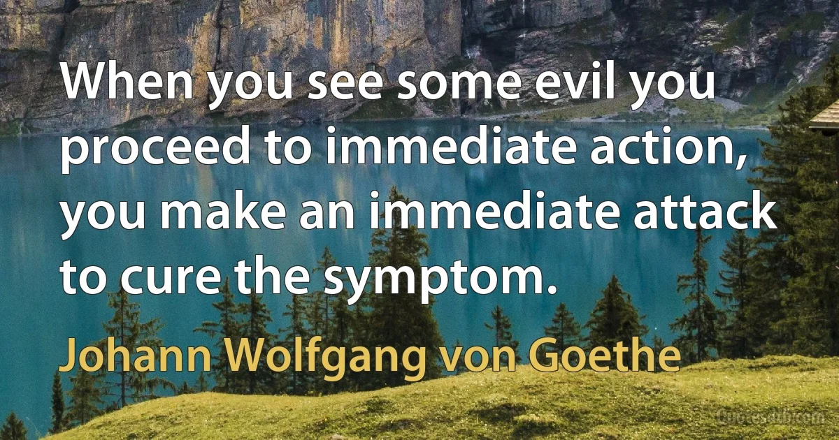 When you see some evil you proceed to immediate action, you make an immediate attack to cure the symptom. (Johann Wolfgang von Goethe)