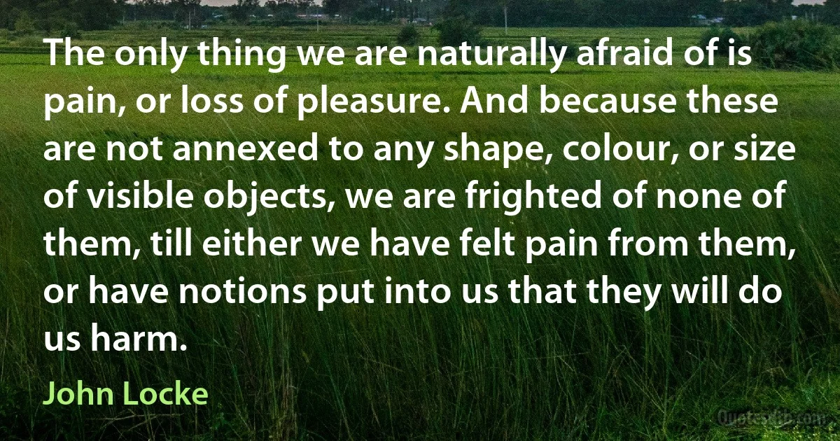 The only thing we are naturally afraid of is pain, or loss of pleasure. And because these are not annexed to any shape, colour, or size of visible objects, we are frighted of none of them, till either we have felt pain from them, or have notions put into us that they will do us harm. (John Locke)