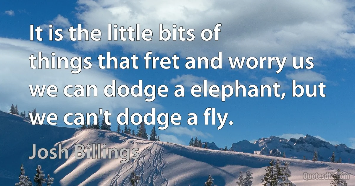 It is the little bits of things that fret and worry us we can dodge a elephant, but we can't dodge a fly. (Josh Billings)