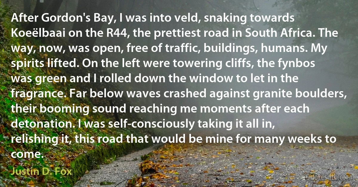 After Gordon's Bay, I was into veld, snaking towards Koeëlbaai on the R44, the prettiest road in South Africa. The way, now, was open, free of traffic, buildings, humans. My spirits lifted. On the left were towering cliffs, the fynbos was green and I rolled down the window to let in the fragrance. Far below waves crashed against granite boulders, their booming sound reaching me moments after each detonation. I was self-consciously taking it all in, relishing it, this road that would be mine for many weeks to come. (Justin D. Fox)