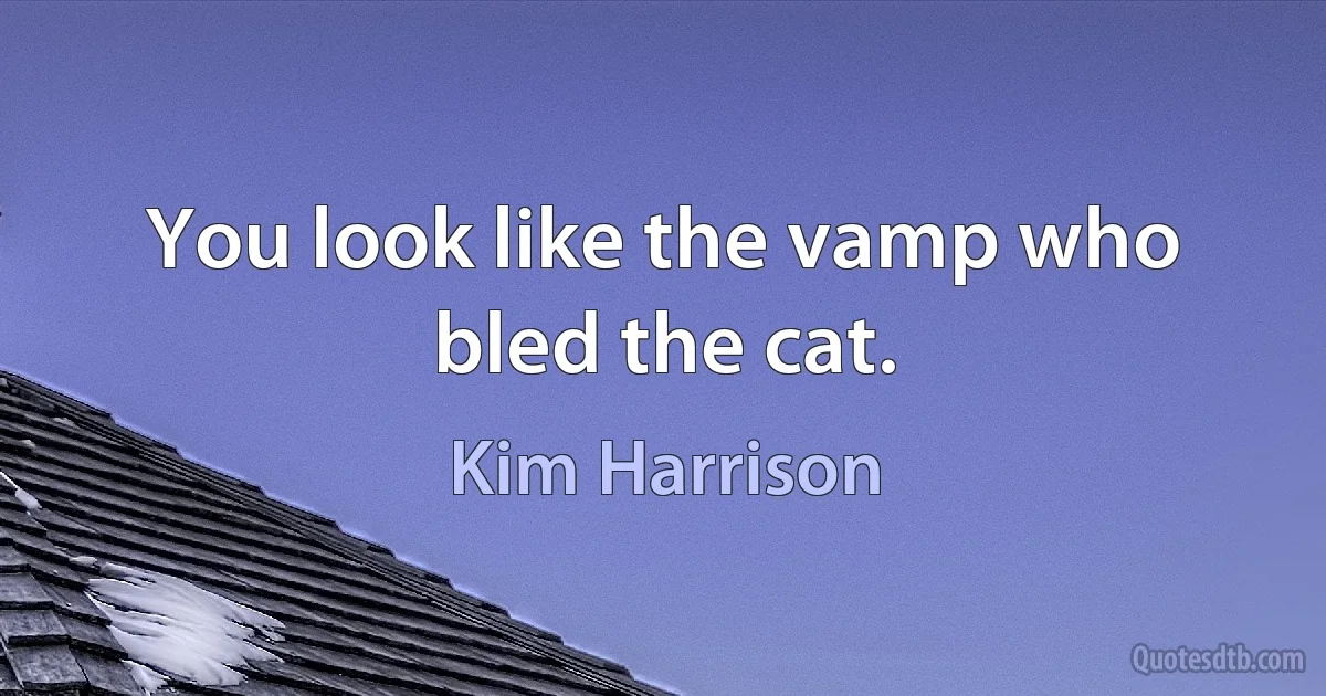 You look like the vamp who bled the cat. (Kim Harrison)