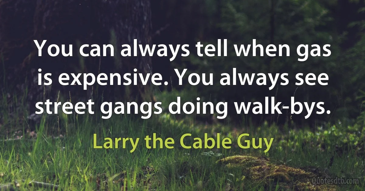 You can always tell when gas is expensive. You always see street gangs doing walk-bys. (Larry the Cable Guy)