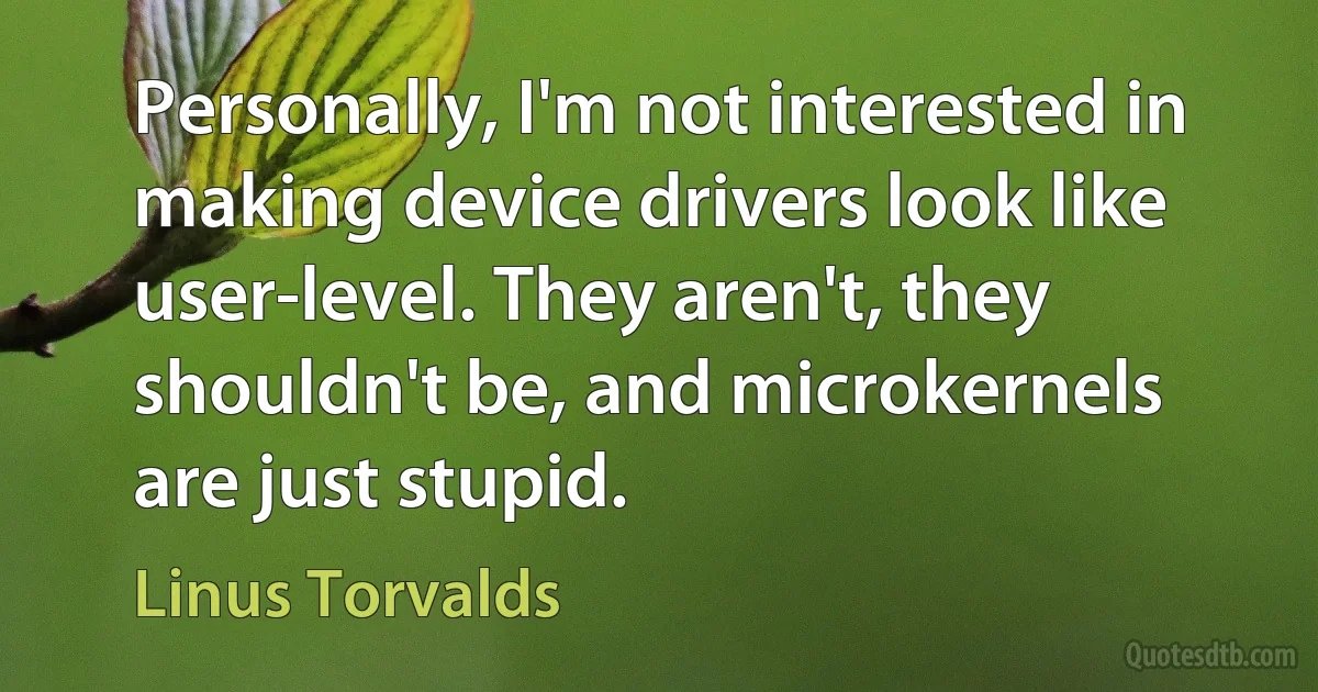 Personally, I'm not interested in making device drivers look like user-level. They aren't, they shouldn't be, and microkernels are just stupid. (Linus Torvalds)