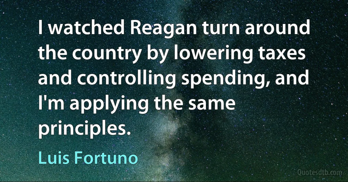 I watched Reagan turn around the country by lowering taxes and controlling spending, and I'm applying the same principles. (Luis Fortuno)