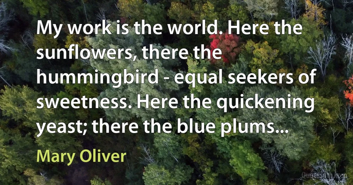 My work is the world. Here the sunflowers, there the hummingbird - equal seekers of sweetness. Here the quickening yeast; there the blue plums... (Mary Oliver)