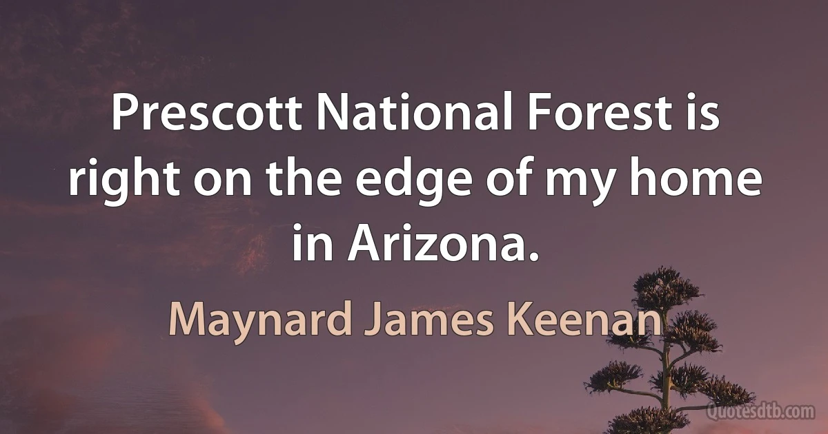 Prescott National Forest is right on the edge of my home in Arizona. (Maynard James Keenan)