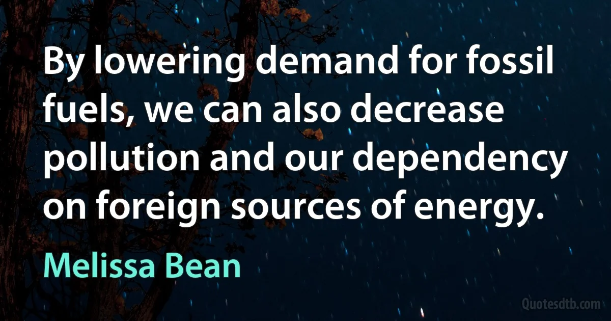 By lowering demand for fossil fuels, we can also decrease pollution and our dependency on foreign sources of energy. (Melissa Bean)