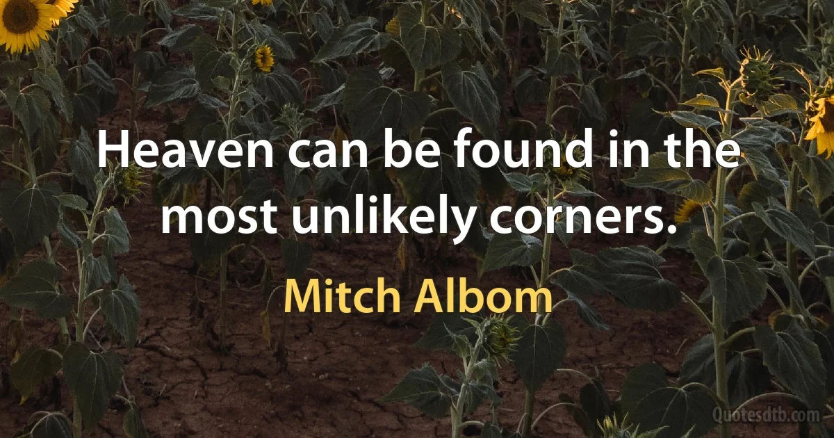 Heaven can be found in the most unlikely corners. (Mitch Albom)