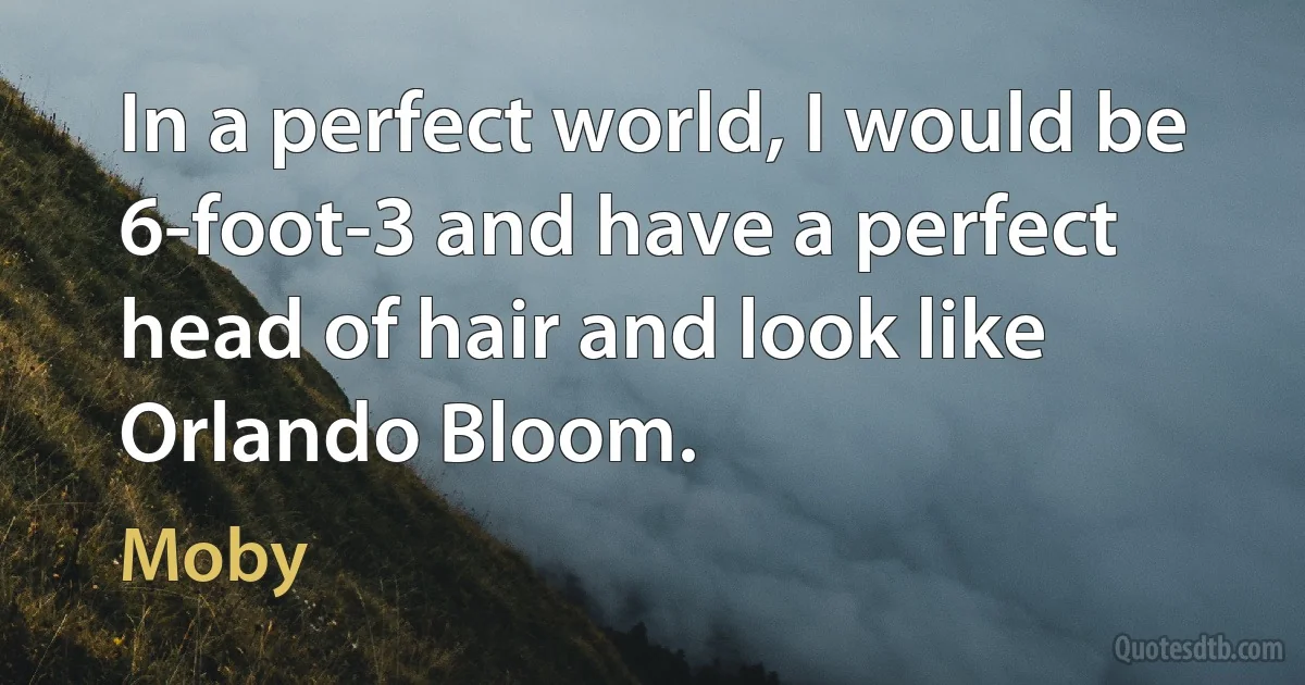 In a perfect world, I would be 6-foot-3 and have a perfect head of hair and look like Orlando Bloom. (Moby)