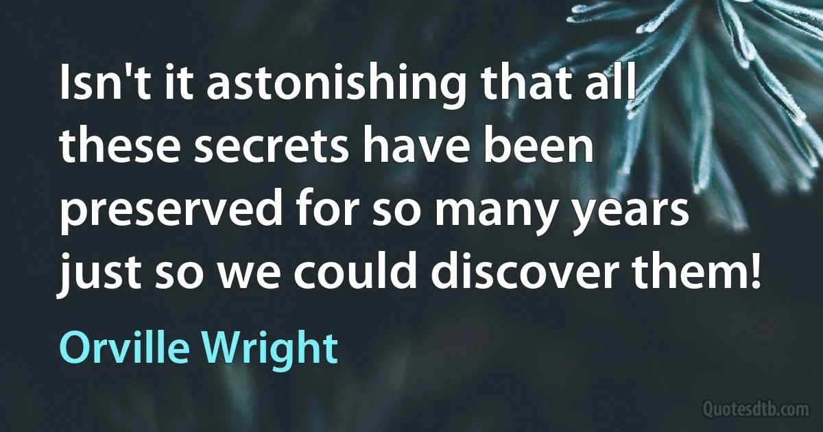 Isn't it astonishing that all these secrets have been preserved for so many years just so we could discover them! (Orville Wright)