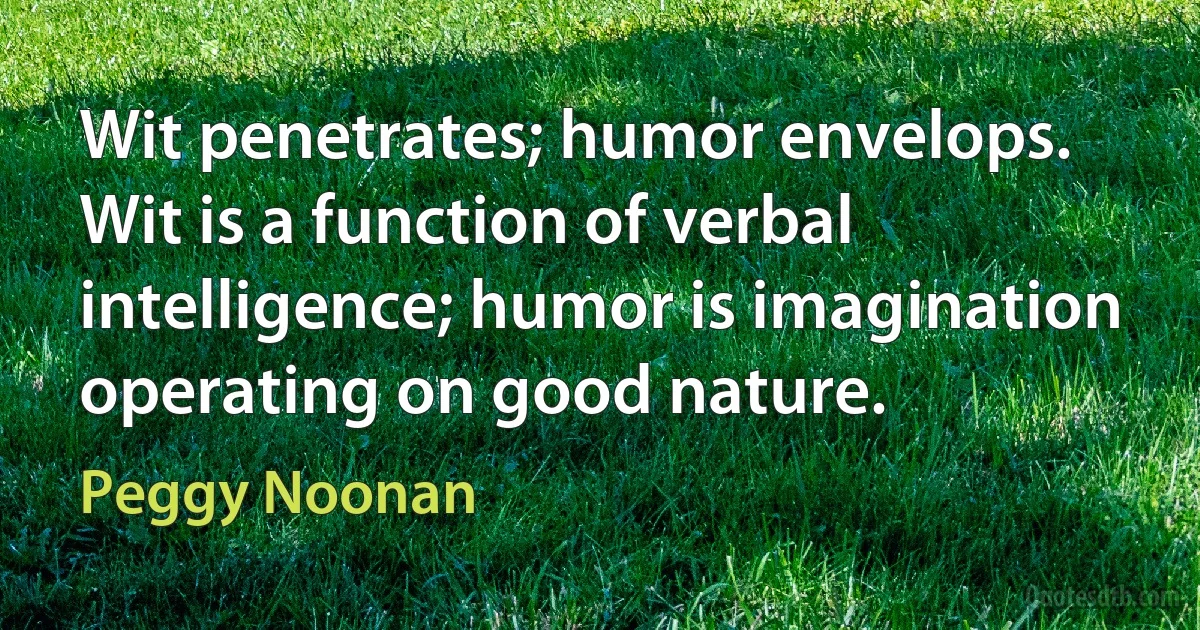 Wit penetrates; humor envelops. Wit is a function of verbal intelligence; humor is imagination operating on good nature. (Peggy Noonan)