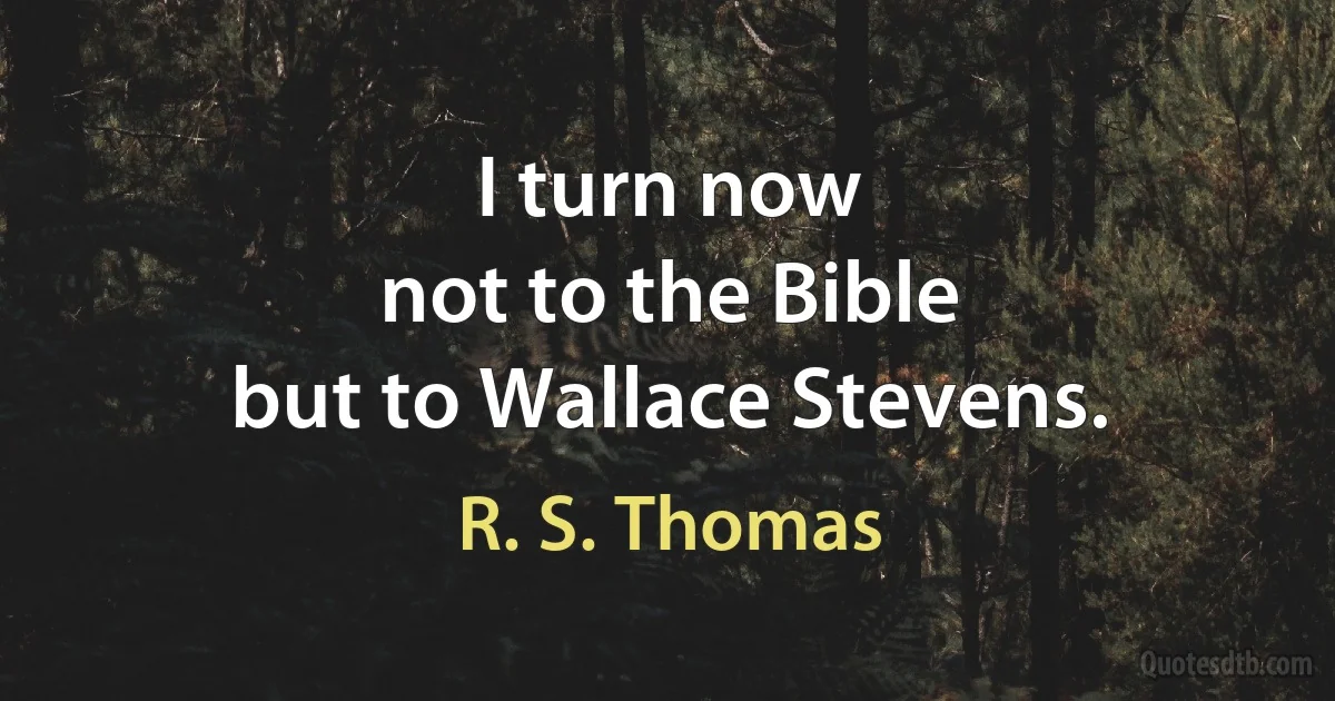 I turn now
not to the Bible
but to Wallace Stevens. (R. S. Thomas)