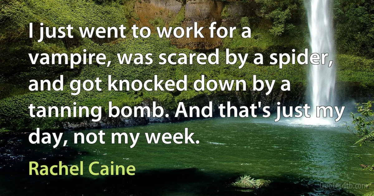 I just went to work for a vampire, was scared by a spider, and got knocked down by a tanning bomb. And that's just my day, not my week. (Rachel Caine)