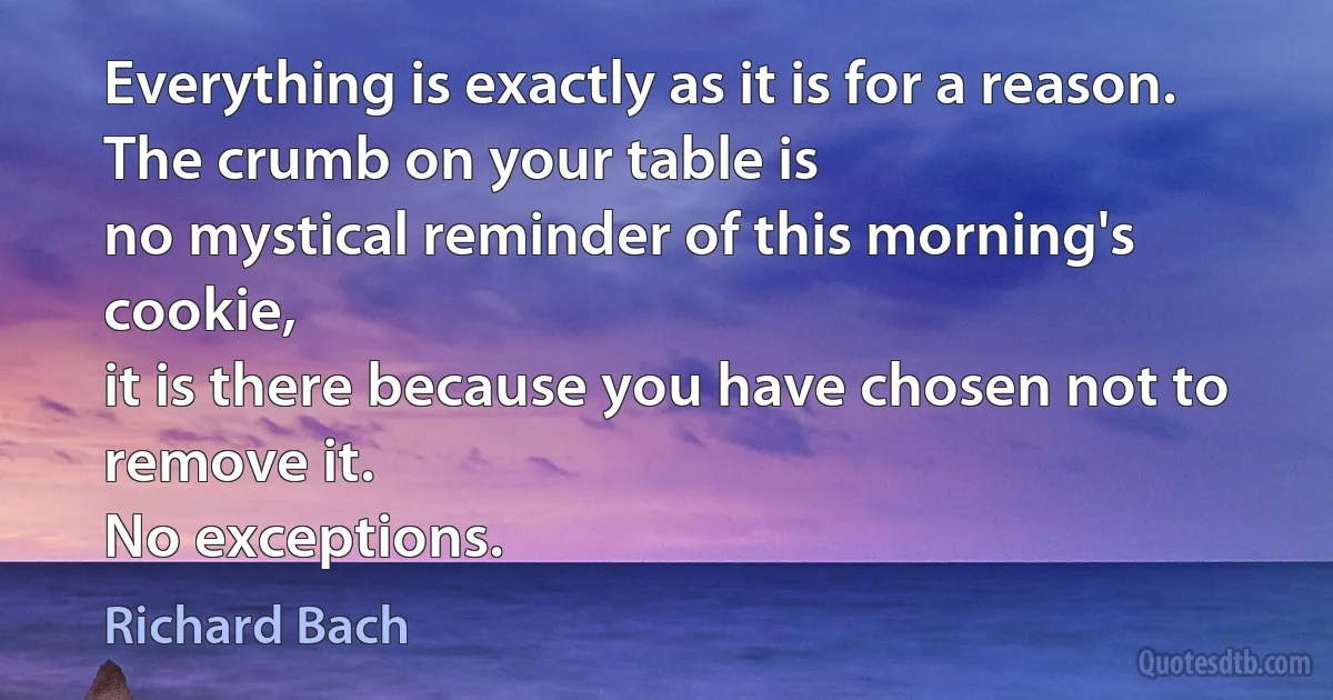 Everything is exactly as it is for a reason.
The crumb on your table is
no mystical reminder of this morning's cookie,
it is there because you have chosen not to remove it.
No exceptions. (Richard Bach)