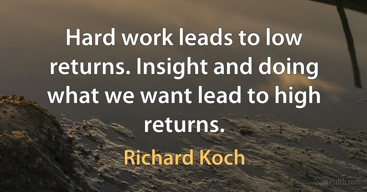 Hard work leads to low returns. Insight and doing what we want lead to high returns. (Richard Koch)