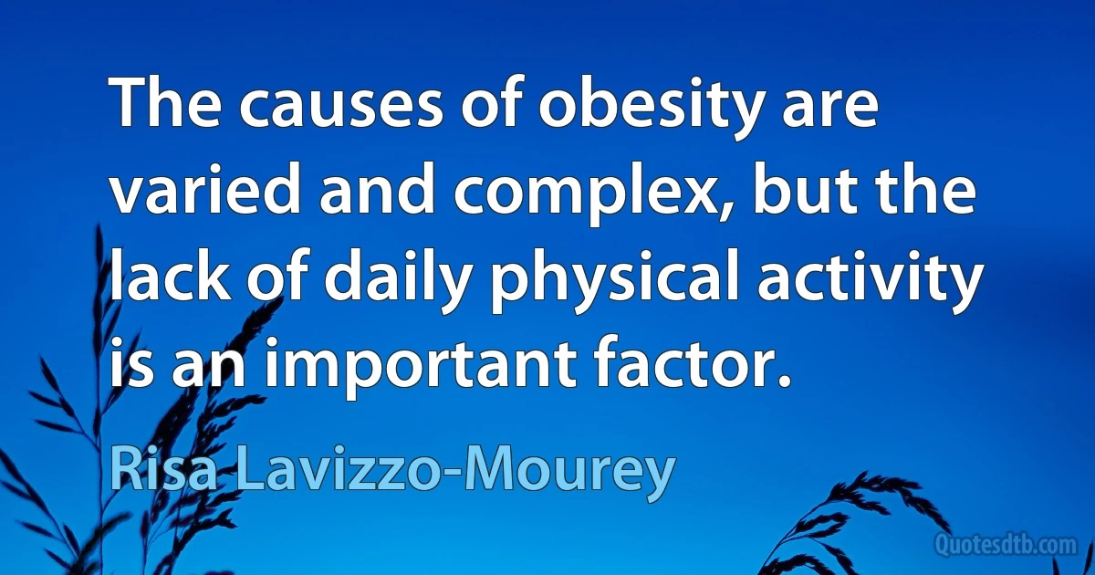 The causes of obesity are varied and complex, but the lack of daily physical activity is an important factor. (Risa Lavizzo-Mourey)