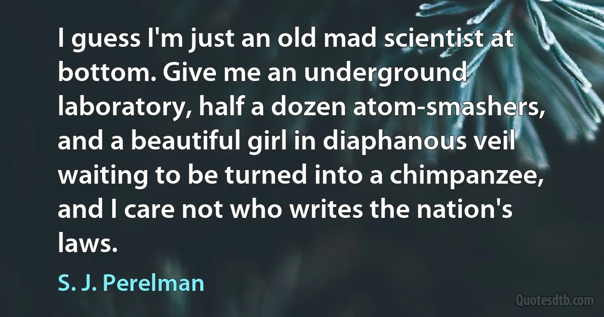 I guess I'm just an old mad scientist at bottom. Give me an underground laboratory, half a dozen atom-smashers, and a beautiful girl in diaphanous veil waiting to be turned into a chimpanzee, and I care not who writes the nation's laws. (S. J. Perelman)