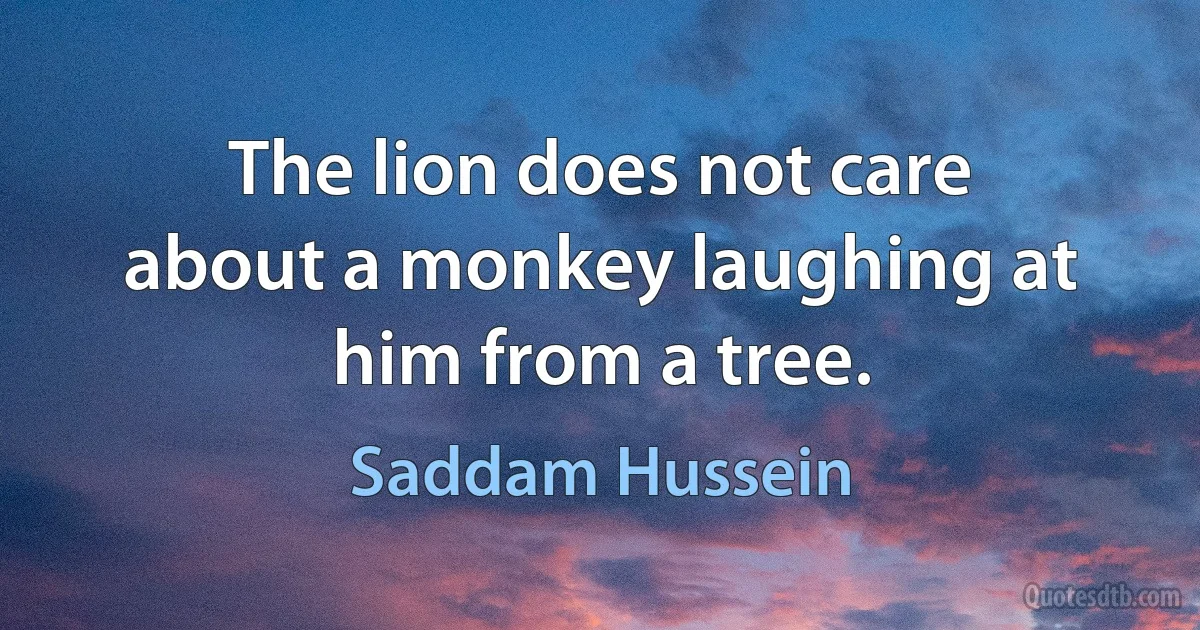 The lion does not care about a monkey laughing at him from a tree. (Saddam Hussein)