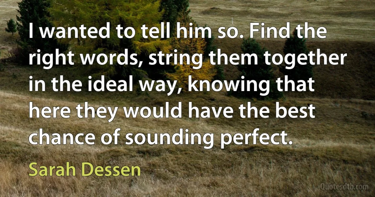 I wanted to tell him so. Find the right words, string them together in the ideal way, knowing that here they would have the best chance of sounding perfect. (Sarah Dessen)