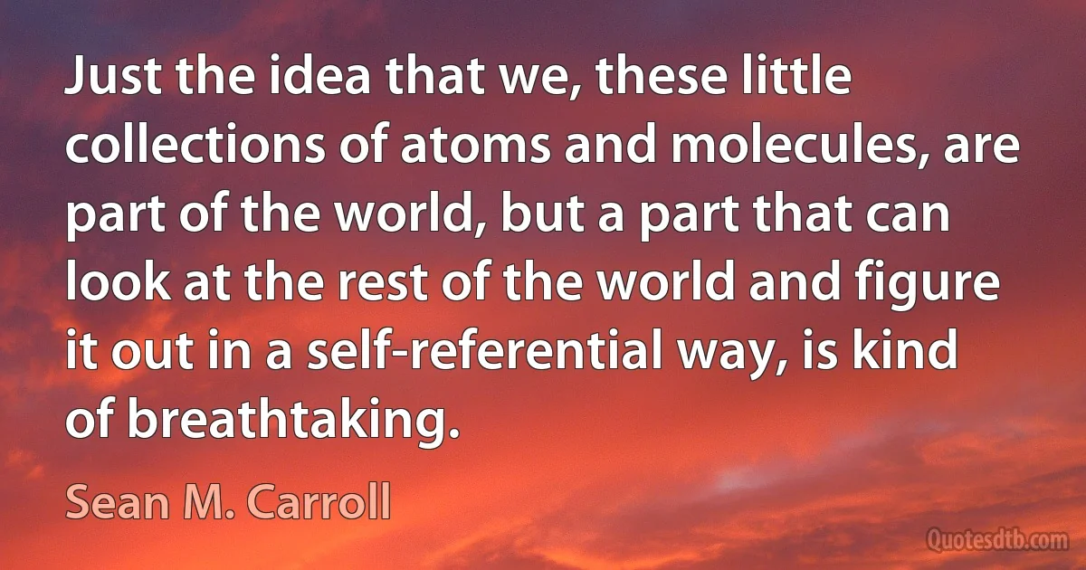 Just the idea that we, these little collections of atoms and molecules, are part of the world, but a part that can look at the rest of the world and figure it out in a self-referential way, is kind of breathtaking. (Sean M. Carroll)