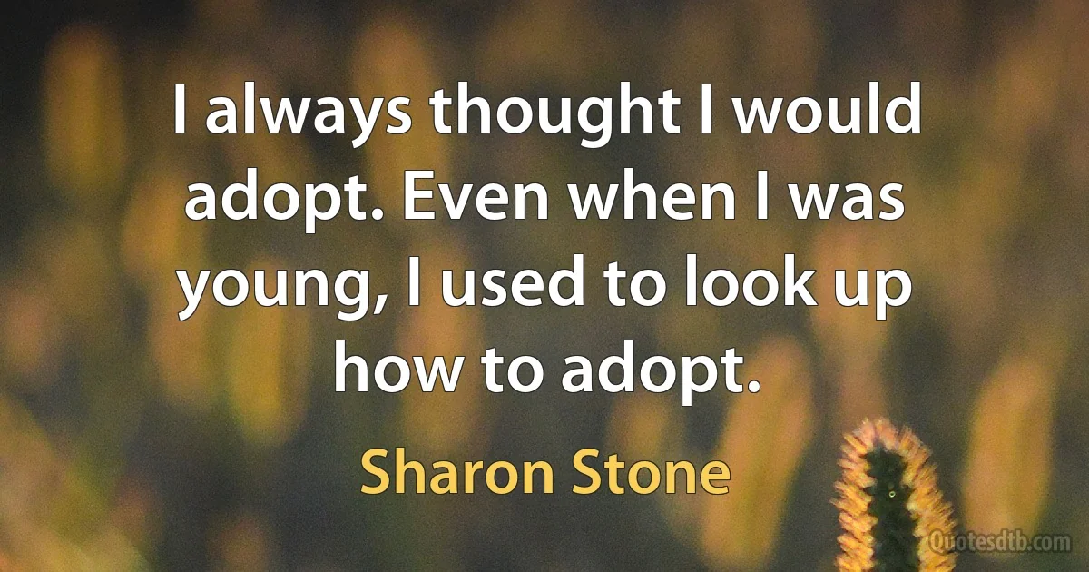 I always thought I would adopt. Even when I was young, I used to look up how to adopt. (Sharon Stone)