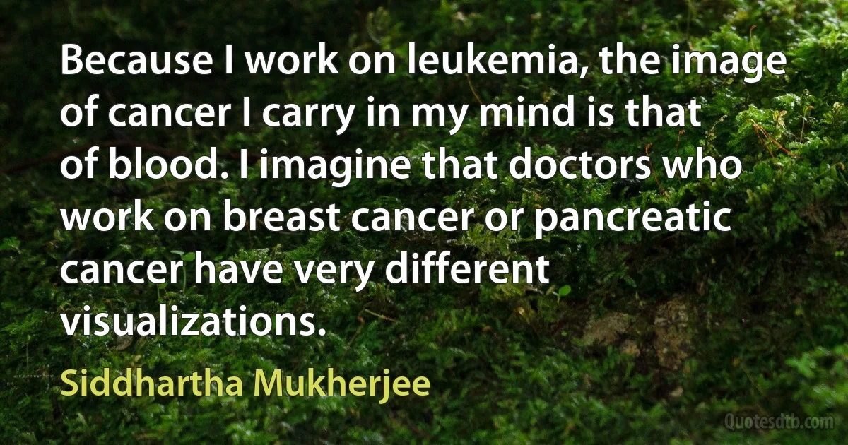 Because I work on leukemia, the image of cancer I carry in my mind is that of blood. I imagine that doctors who work on breast cancer or pancreatic cancer have very different visualizations. (Siddhartha Mukherjee)