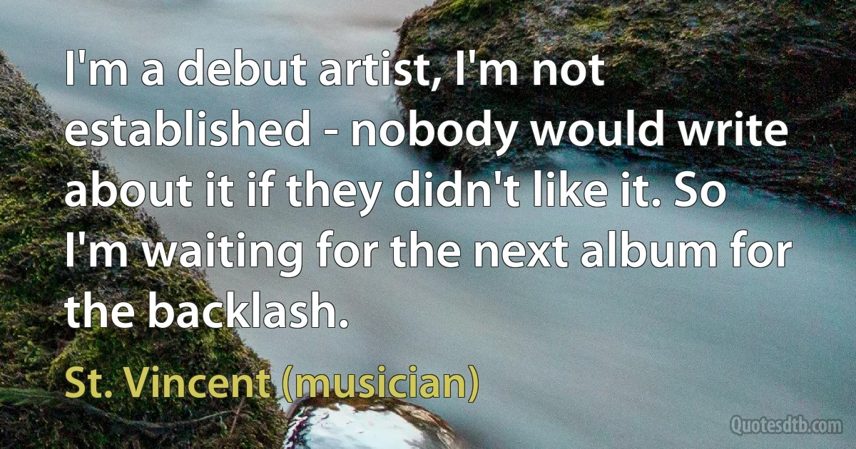 I'm a debut artist, I'm not established - nobody would write about it if they didn't like it. So I'm waiting for the next album for the backlash. (St. Vincent (musician))