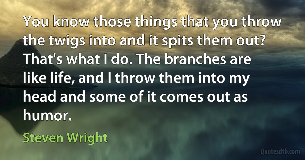 You know those things that you throw the twigs into and it spits them out? That's what I do. The branches are like life, and I throw them into my head and some of it comes out as humor. (Steven Wright)