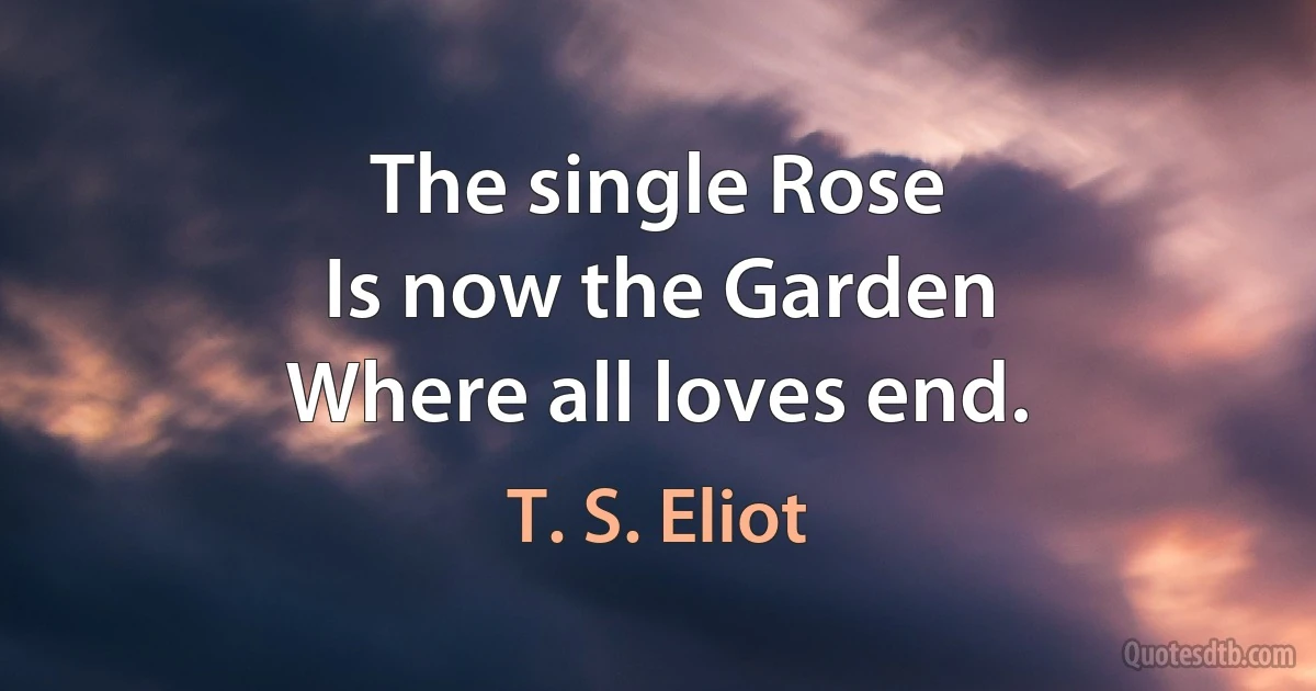 The single Rose
Is now the Garden
Where all loves end. (T. S. Eliot)