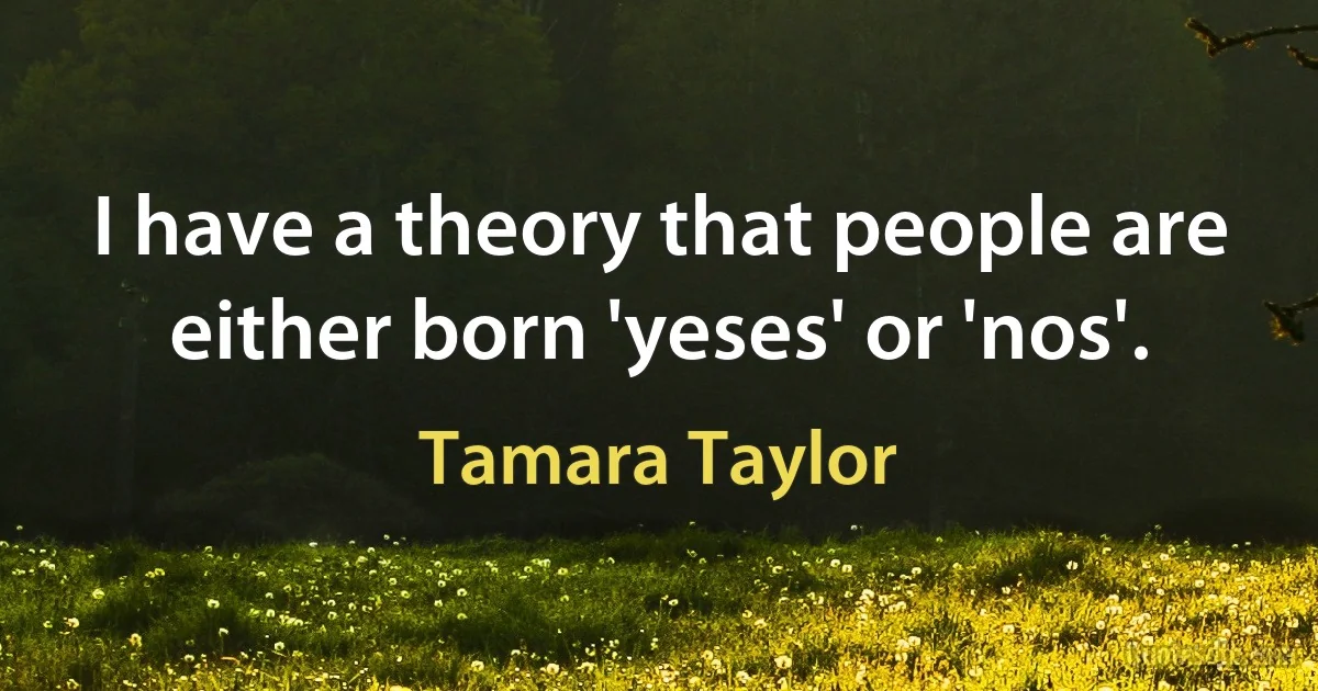 I have a theory that people are either born 'yeses' or 'nos'. (Tamara Taylor)