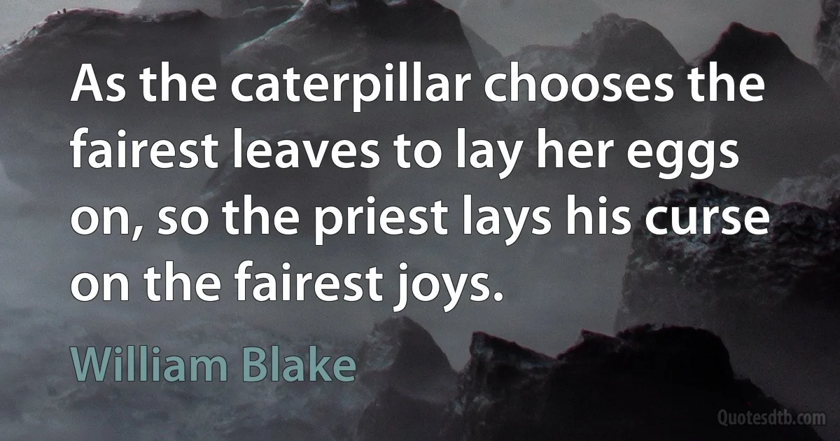 As the caterpillar chooses the fairest leaves to lay her eggs on, so the priest lays his curse on the fairest joys. (William Blake)