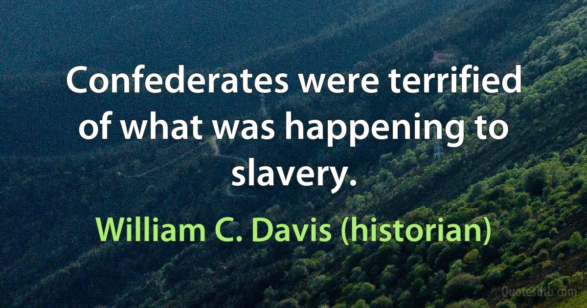 Confederates were terrified of what was happening to slavery. (William C. Davis (historian))