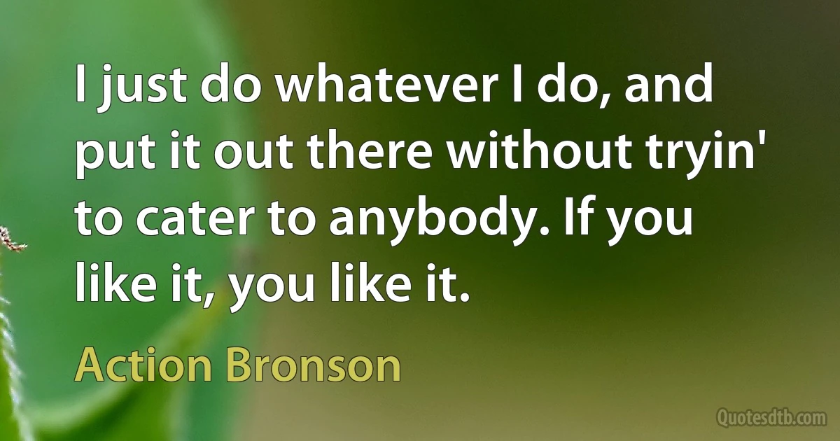 I just do whatever I do, and put it out there without tryin' to cater to anybody. If you like it, you like it. (Action Bronson)