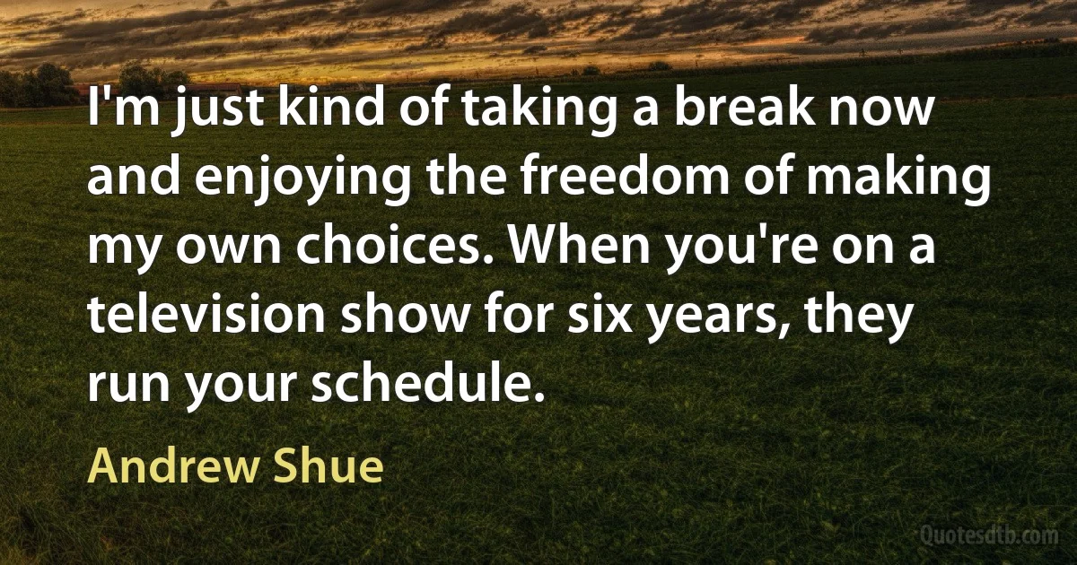 I'm just kind of taking a break now and enjoying the freedom of making my own choices. When you're on a television show for six years, they run your schedule. (Andrew Shue)