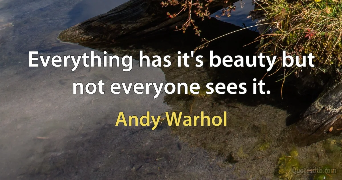 Everything has it's beauty but not everyone sees it. (Andy Warhol)