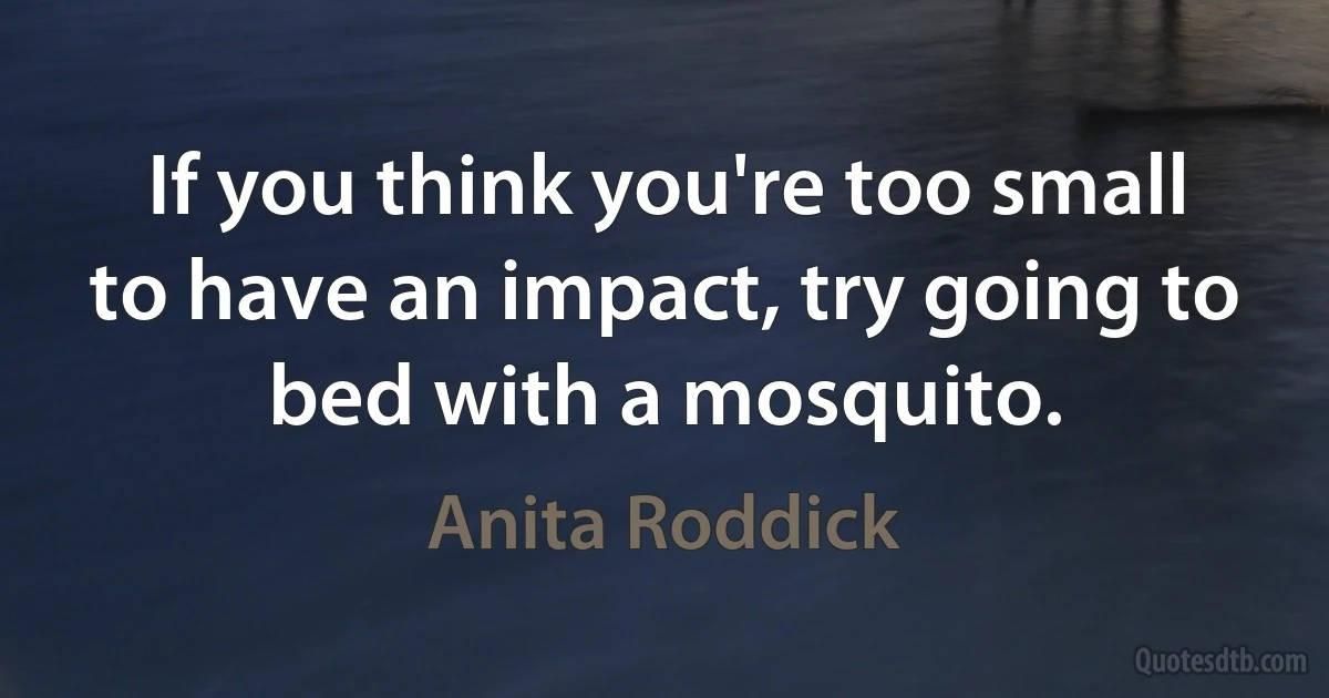 If you think you're too small to have an impact, try going to bed with a mosquito. (Anita Roddick)