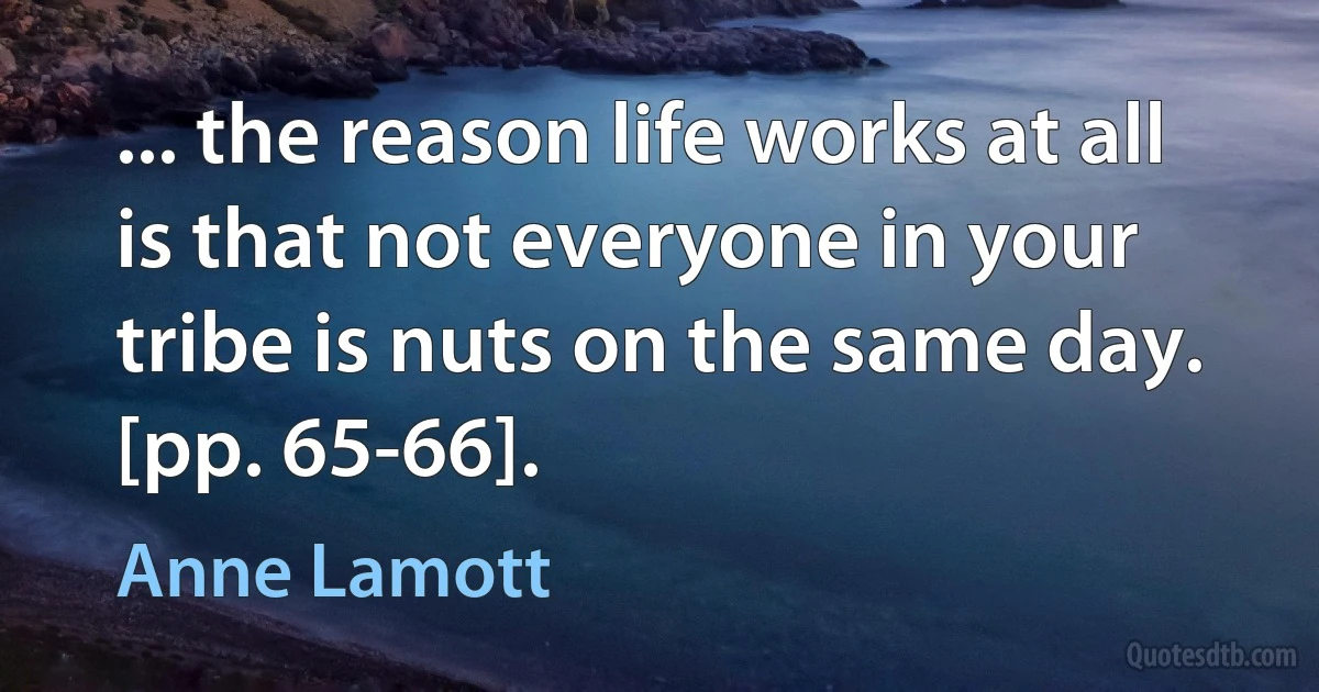 ... the reason life works at all is that not everyone in your tribe is nuts on the same day. [pp. 65-66]. (Anne Lamott)