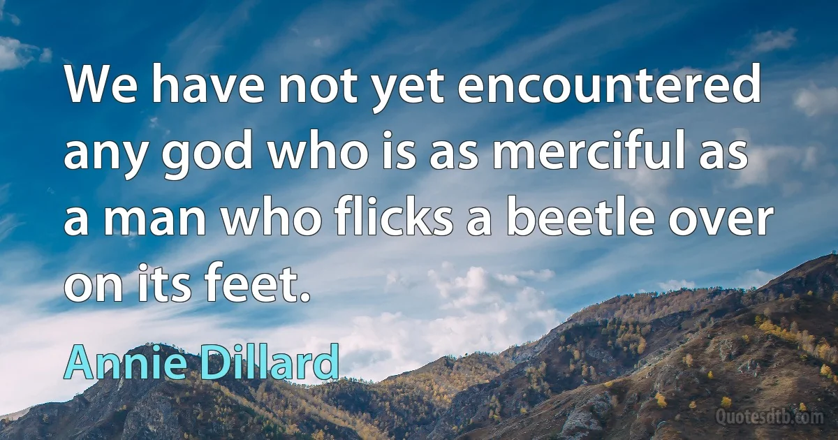 We have not yet encountered any god who is as merciful as a man who flicks a beetle over on its feet. (Annie Dillard)