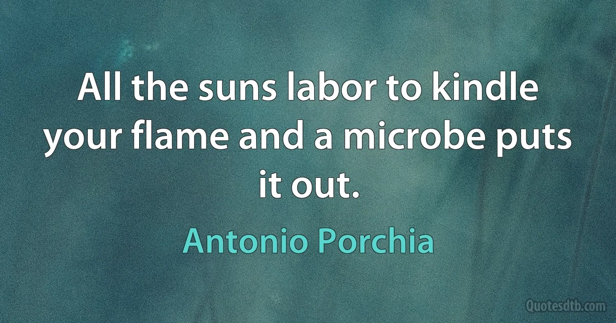 All the suns labor to kindle your flame and a microbe puts it out. (Antonio Porchia)