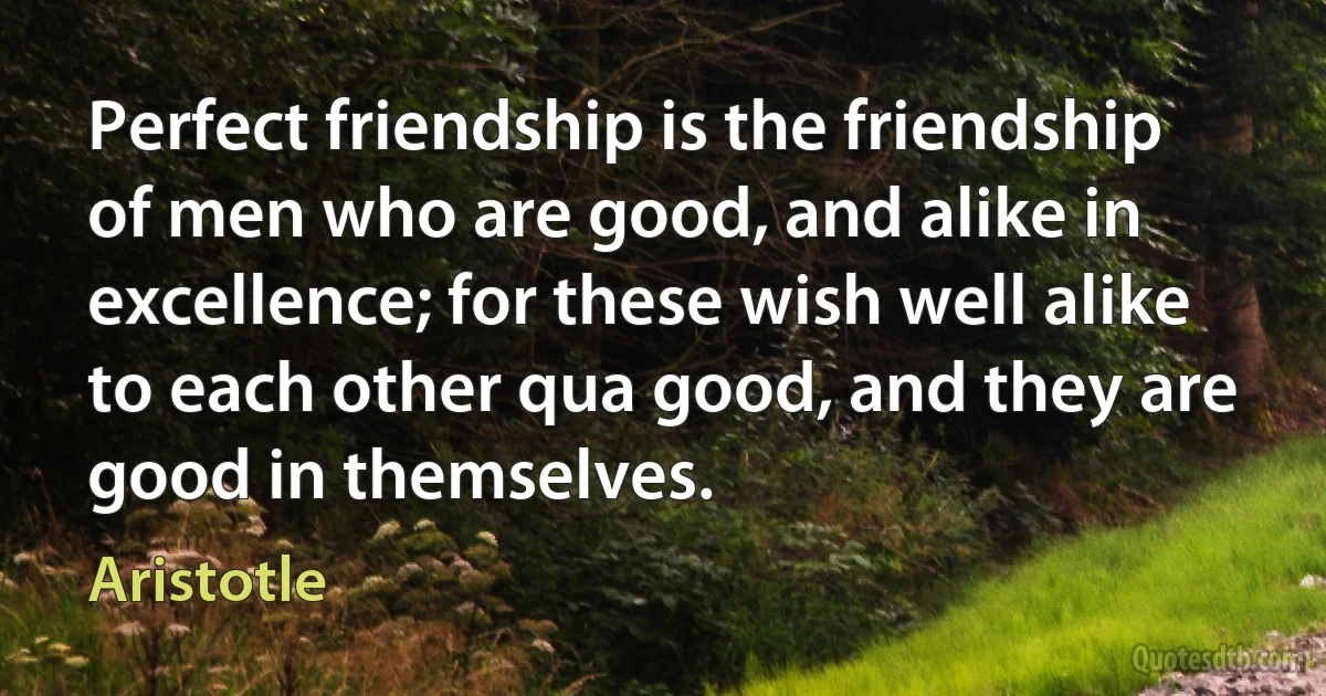 Perfect friendship is the friendship of men who are good, and alike in excellence; for these wish well alike to each other qua good, and they are good in themselves. (Aristotle)