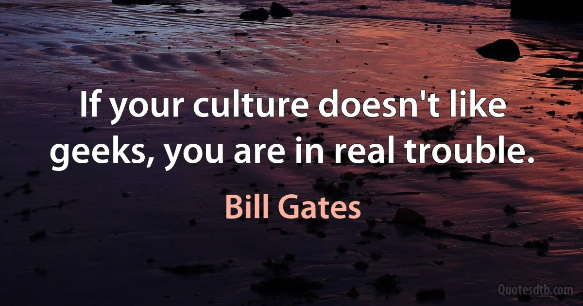 If your culture doesn't like geeks, you are in real trouble. (Bill Gates)