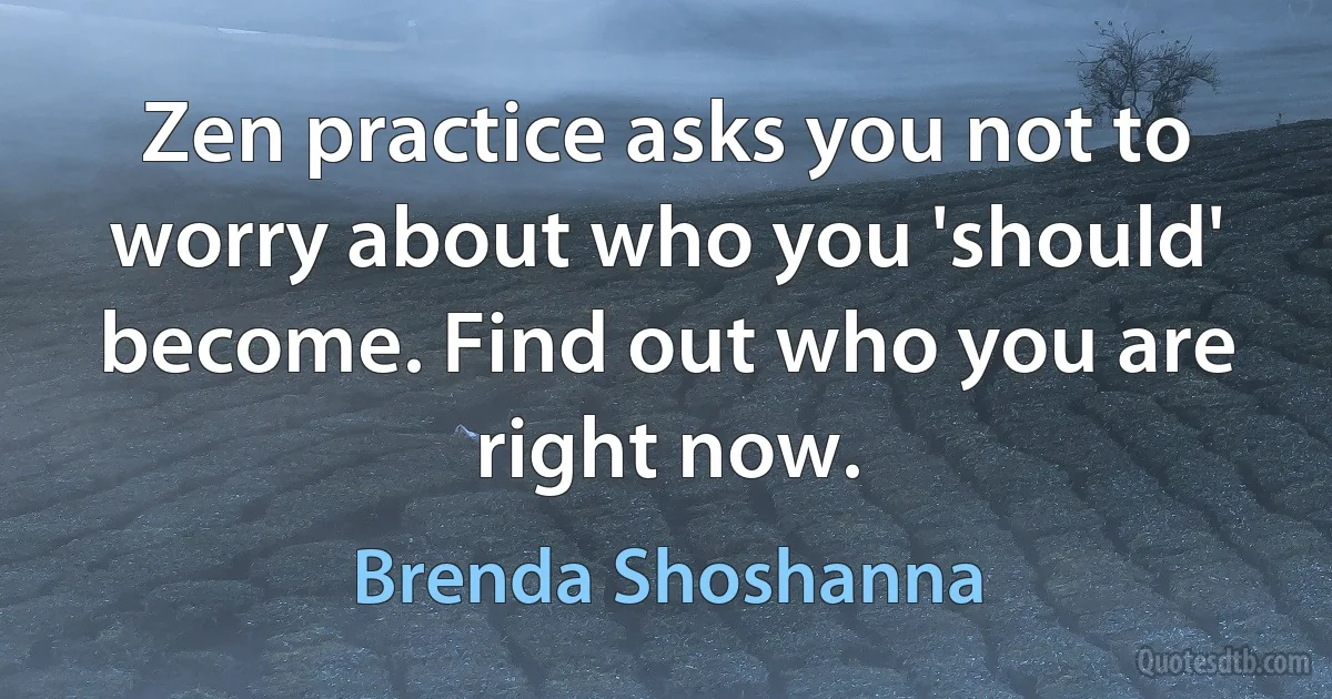 Zen practice asks you not to worry about who you 'should' become. Find out who you are right now. (Brenda Shoshanna)