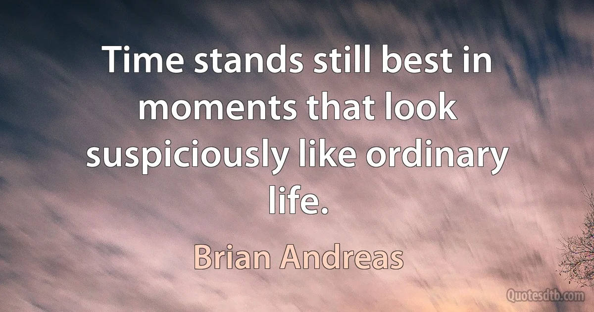 Time stands still best in moments that look suspiciously like ordinary life. (Brian Andreas)