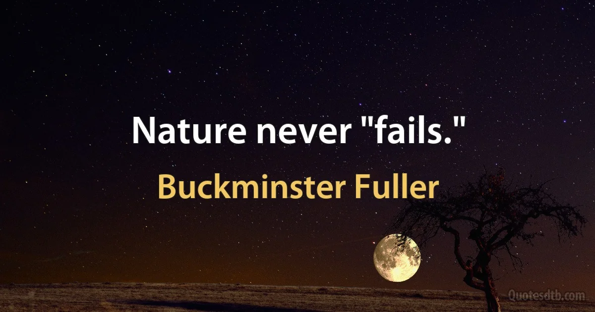 Nature never "fails." (Buckminster Fuller)