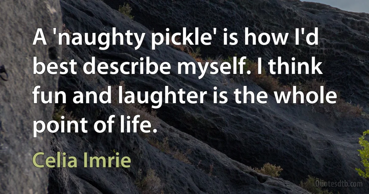 A 'naughty pickle' is how I'd best describe myself. I think fun and laughter is the whole point of life. (Celia Imrie)