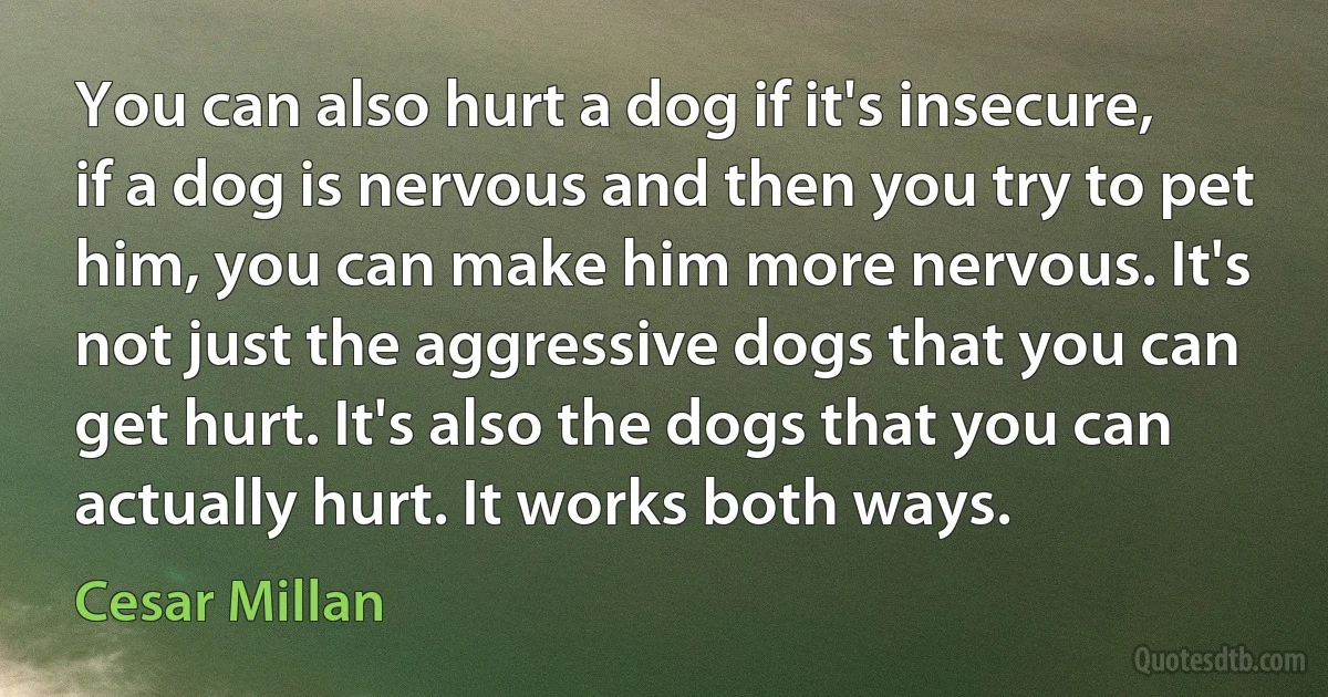 You can also hurt a dog if it's insecure, if a dog is nervous and then you try to pet him, you can make him more nervous. It's not just the aggressive dogs that you can get hurt. It's also the dogs that you can actually hurt. It works both ways. (Cesar Millan)